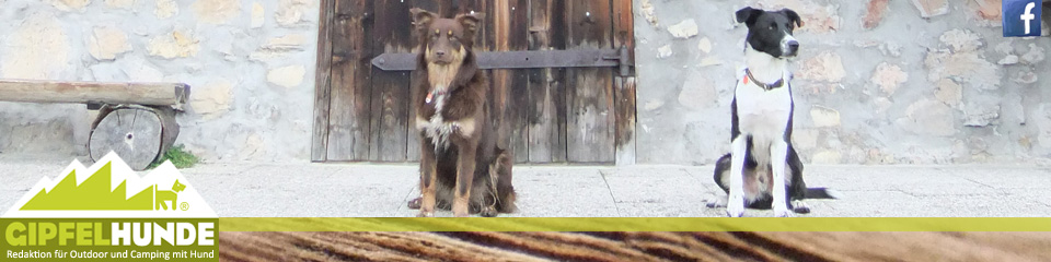 Gipfelhunde Hundewandern M&uuml;nchen