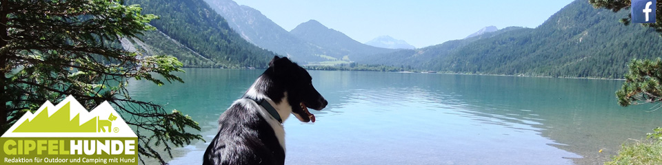 Gipfelhunde Hundewandern München