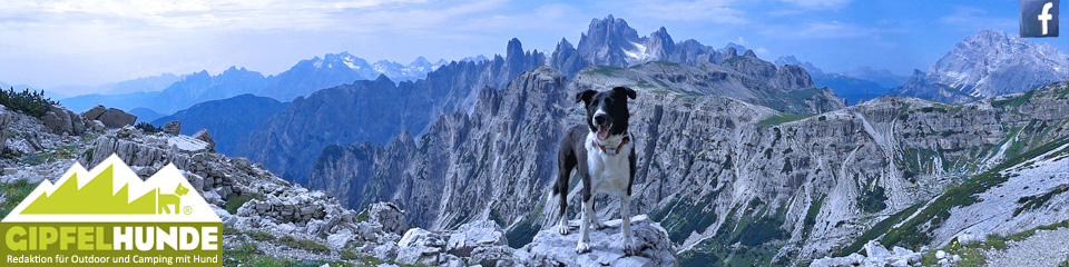 Gipfelhunde Hundewandern München