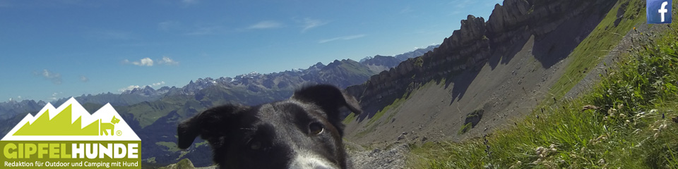 Gipfelhunde Hundewandern München